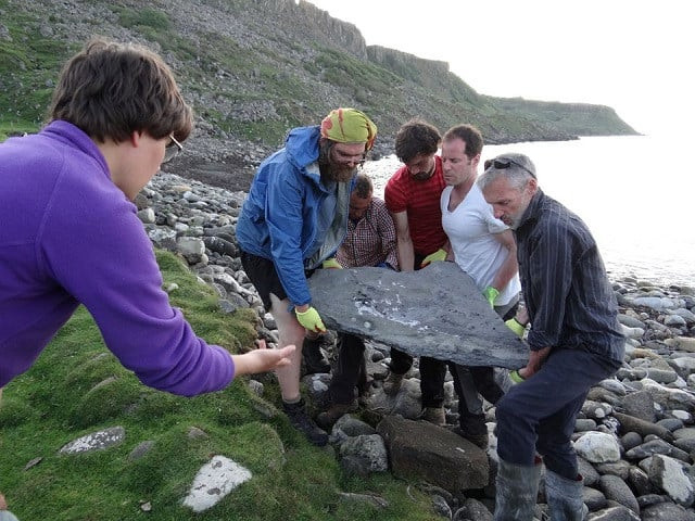researchers carry part of the fossil of a newly identified jurassic period flying reptile or pterosaur called dearc sgiathanach found on a rocky beach at scotland s isle of skye britain in this handout image from may 2017 photo reuters researchers carry part of the fossil of a newly identified jurassic period flying reptile or pterosaur called dearc sgiathanach found on a rocky beach at scotland s isle of skye britain in this handout image from may 2017 photo reuters