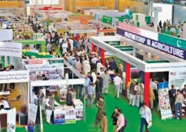 over 1 2b deals inked at foodag over 1 2b deals inked at foodag