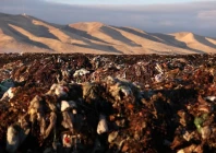 piles of food scraps and green waste at recology blossom valley organics north near vernalis california us november 10 2022 photo reuters