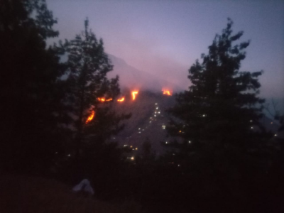 new plan formulated to prevent forest fires new plan formulated to prevent forest fires