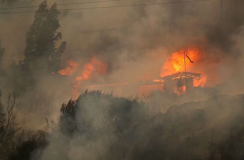 houses burn amid the spread of wildfires in vina del mar chile february 3 2024 photo reuters