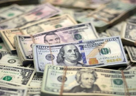 forex reserves add another 24m