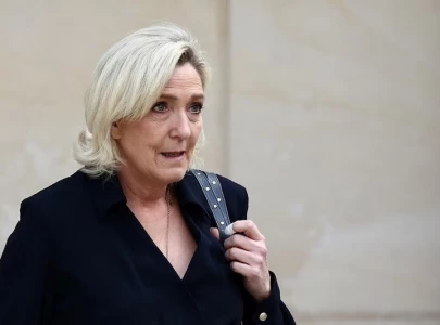 france s le pen likens left s protest call to us capitol hill storming france s le pen likens left s protest call to us capitol hill storming