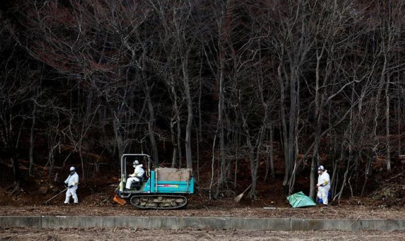 decontamination workers wearing protective suits and masks remove radiated soil and leaves from a forest in tomioka town fukushima prefecture near tokyo electric power co s tepco tsunami crippled fukushima daiichi nuclear power plant february 24 2015 reuters