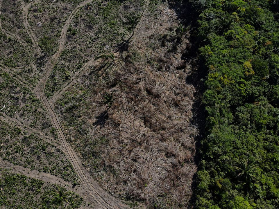 an aerial view shows a deforested plot of the amazon rainforest in manaus amazonas state brazil july 8 2022 reuters