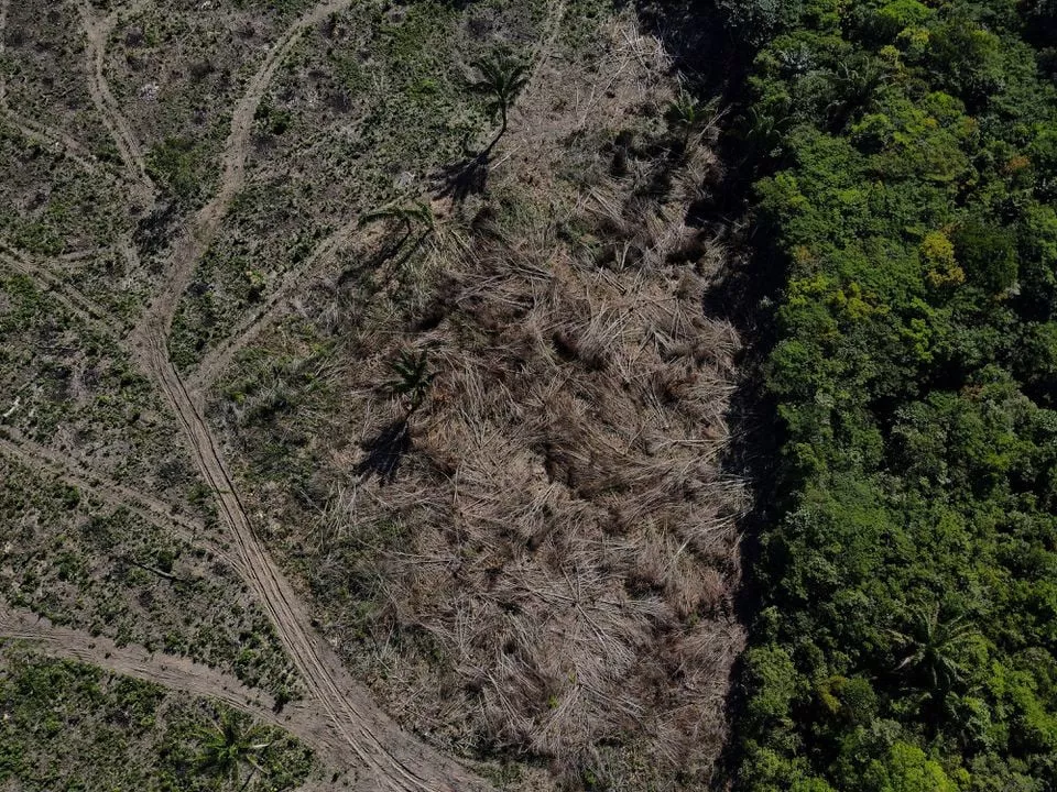 an aerial view shows a deforested plot of the amazon rainforest in manaus amazonas state brazil july 8 2022 reuters an aerial view shows a deforested plot of the amazon rainforest in manaus amazonas state brazil july 8 2022 reuters