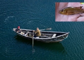 fishing for the great mahseer