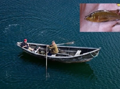 fishing for the great mahseer