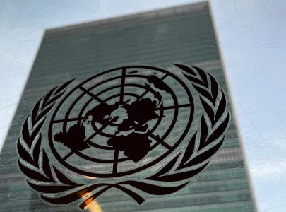 poor states use food crisis fight to get big power attention at un