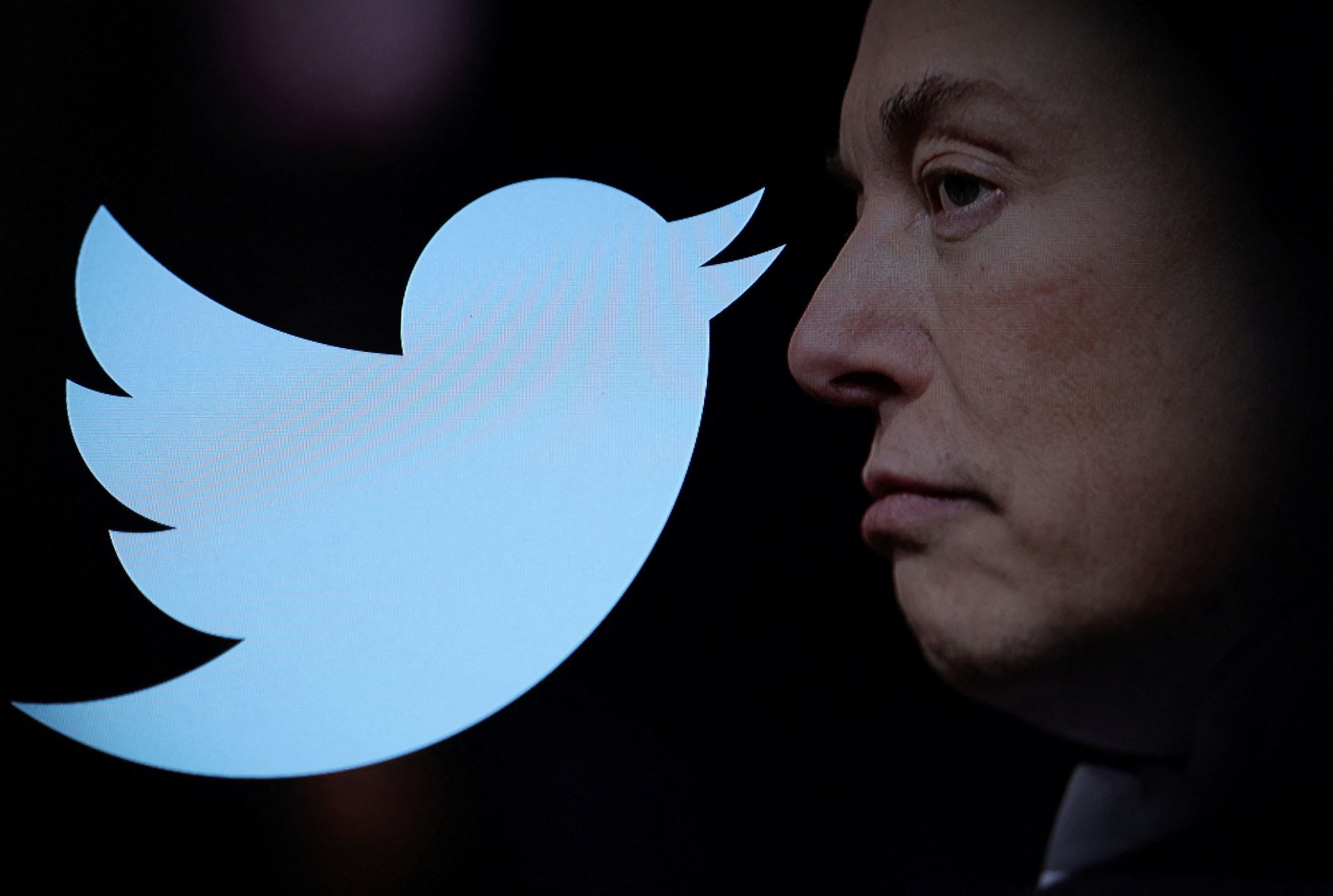 twitter logo and a photo of elon musk are displayed through magnifier in this illustration taken october 27 2022 reuters dado ruvic illustration