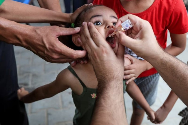 a palestinian girl is vaccinated against polio at a united nations healthcare center in deir al balah in the central gaza strip september 1 2024 photo reuters a palestinian girl is vaccinated against polio at a united nations healthcare center in deir al balah in the central gaza strip september 1 2024 photo reuters