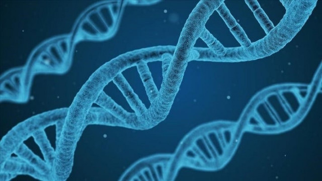 researchers sequence genome of man who died 2 000 years ago researchers sequence genome of man who died 2 000 years ago