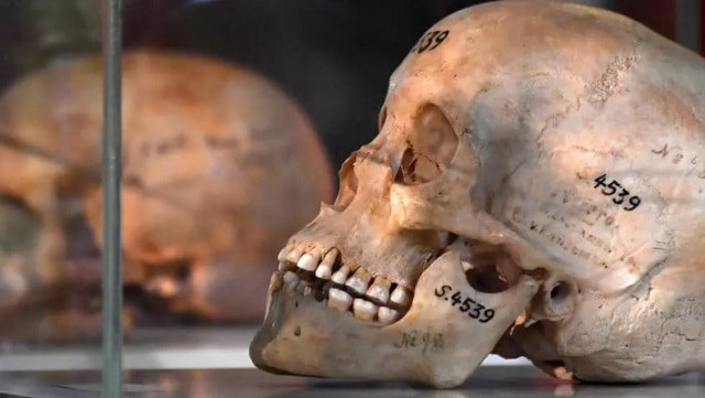 german colonial settlers killed tens of thousands of indigenous herero and nama people in 1904 1908 massacres labelled the first genocide of the 20th century by historians photo afp german colonial settlers killed tens of thousands of indigenous herero and nama people in 1904 1908 massacres labelled the first genocide of the 20th century by historians photo afp