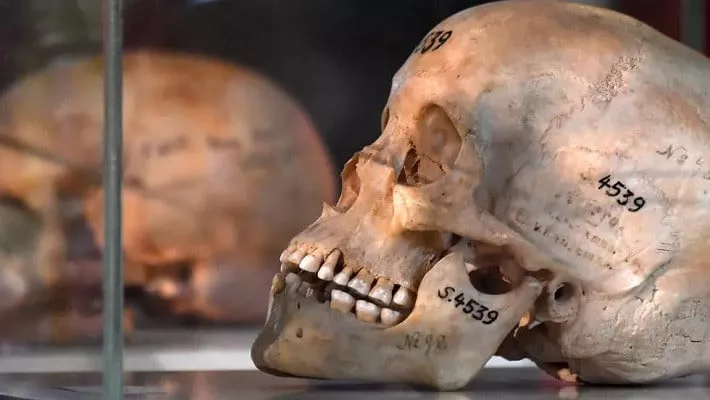 german colonial settlers killed tens of thousands of indigenous herero and nama people in 1904 1908 massacres labelled the first genocide of the 20th century by historians photo afp german colonial settlers killed tens of thousands of indigenous herero and nama people in 1904 1908 massacres labelled the first genocide of the 20th century by historians photo afp