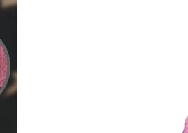 bijnori a scholar ahead of his time