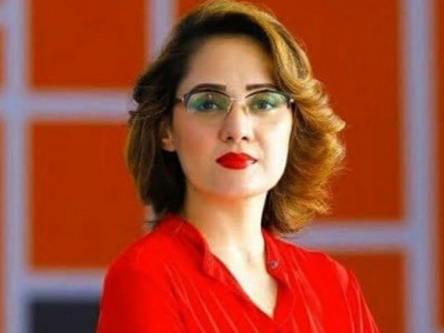 fia plea to dispose of gharida farooqi s case turned down