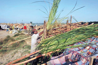 govt should protect forests before land grabbers return