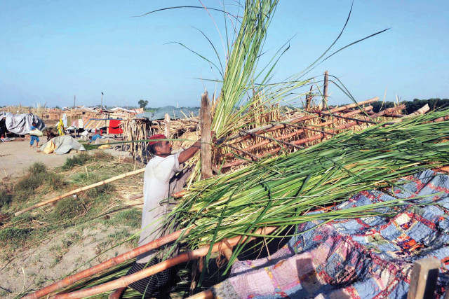 govt should protect forests before land grabbers return govt should protect forests before land grabbers return