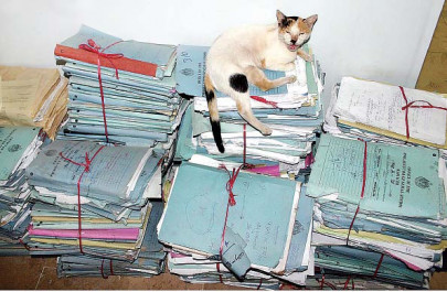 govt passes bill to fight land grabbers