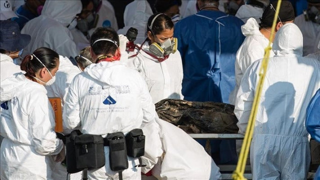 the bodies were found in a secret grave in the city of alvarado photo anadolu agency the bodies were found in a secret grave in the city of alvarado photo anadolu agency