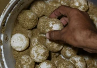 until the early 2000s the beaches of pakistan s arabian coast were the nesting habitat for five endangered turtle species now only the green turtles come to shore to lay their eggs photo afp