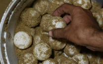 25 000 turtle eggs secured in one month