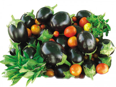 grow your own food the ancient way