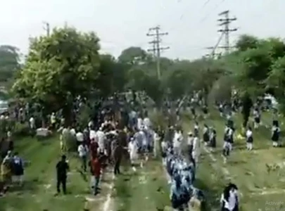 watch pakistan sets new world record by planting over 50 000 saplings in 60 seconds