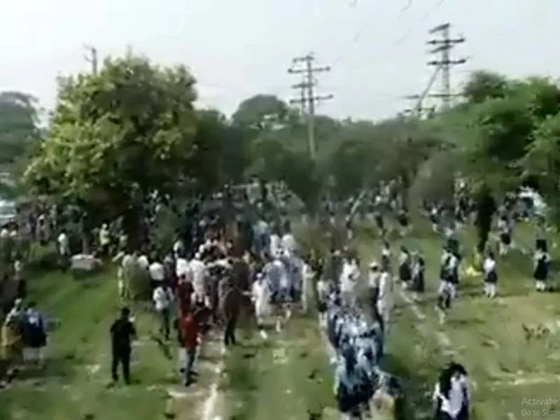watch pakistan sets new world record by planting over 50 000 saplings in 60 seconds watch pakistan sets new world record by planting over 50 000 saplings in 60 seconds