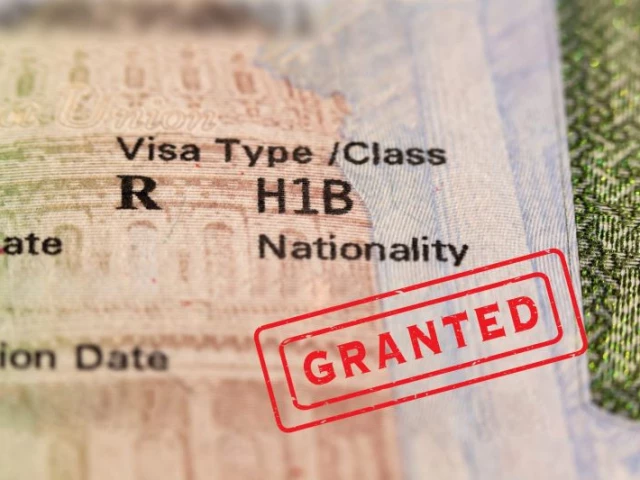 h 1b visa what role do foreign workers play in us economy h 1b visa what role do foreign workers play in us economy