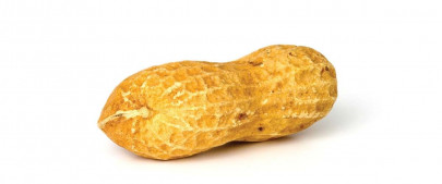 hec sinking in financial woes hec sinking in financial woes