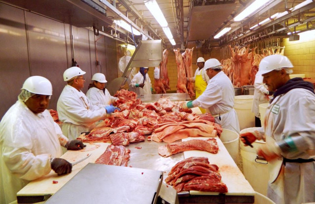 workers cut pork at park packing one of the chicago s few remaining slaughterhouses in chicago illinois july 18 2015 reuters workers cut pork at park packing one of the chicago s few remaining slaughterhouses in chicago illinois july 18 2015 reuters