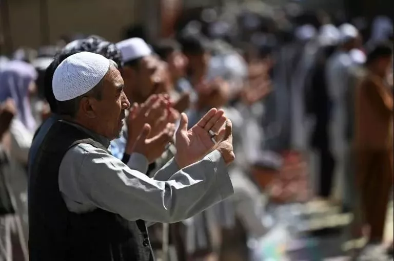 hazara farmers say taliban have ordered them off their lands hazara farmers say taliban have ordered them off their lands