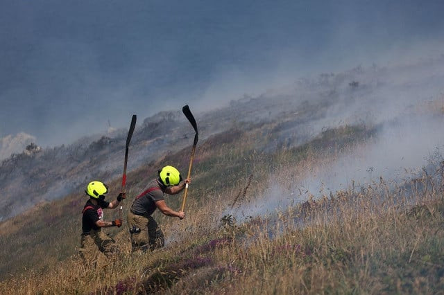 britain counts cost of historic heatwave as 13 die britain counts cost of historic heatwave as 13 die