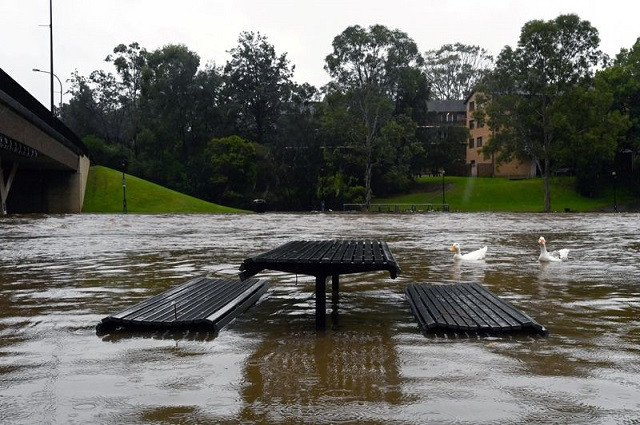 A park bench at the swollen Parramatta River as the state of New South Wales experiences heavy rains, in Sydney, Australia, March 20, 2021. PHOTO: REUTERS