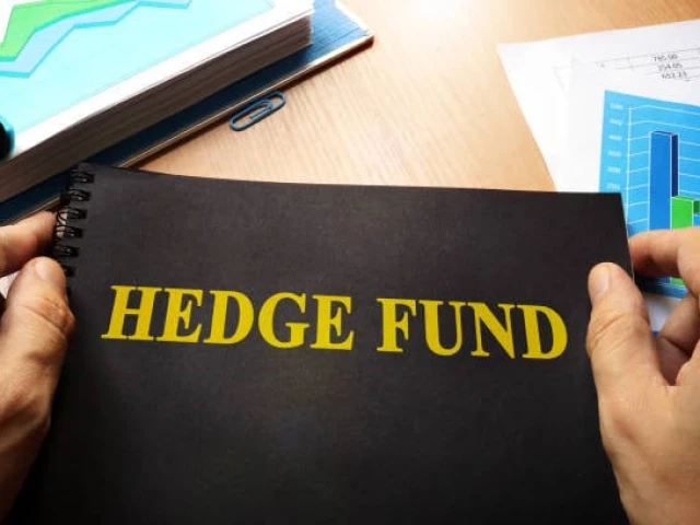 hedge funds give 2024 returns in double digits hedge funds give 2024 returns in double digits