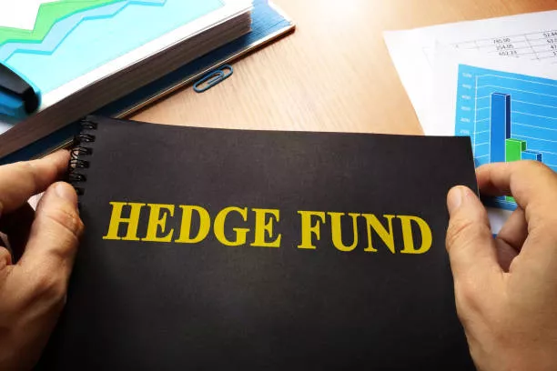 hedge funds give 2024 returns in double digits hedge funds give 2024 returns in double digits