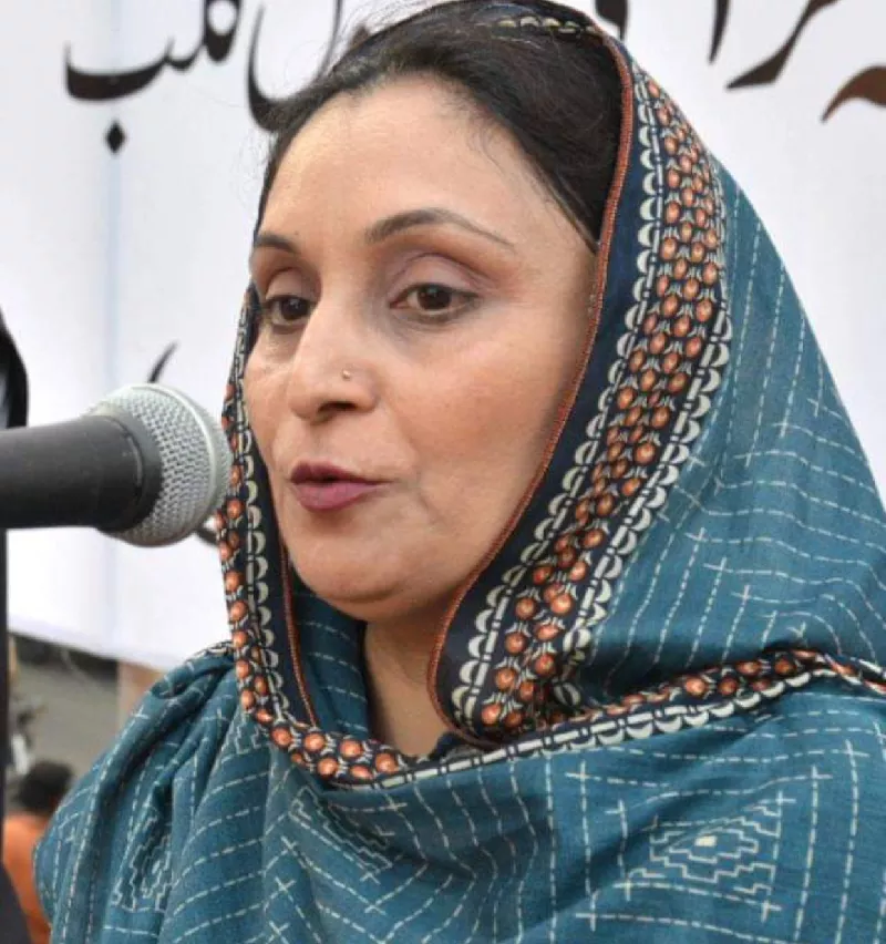 sindh assembly mpa heer soho photo express sindh assembly mpa heer soho photo express