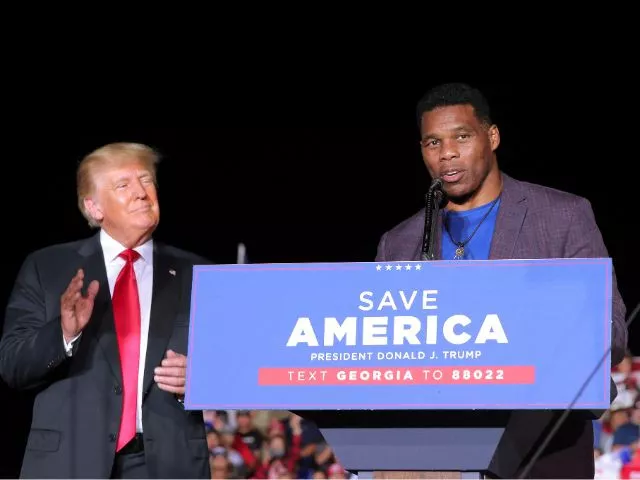 herschel walker mistakenly endorses trump jr at georgia rally herschel walker mistakenly endorses trump jr at georgia rally