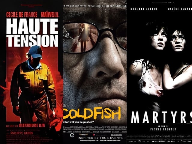 high tension 2003 cold fish 2010 martyrs 2008