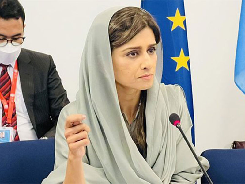 minister of state for foreign affairs hina rabbani kharstressed the need for partnerships to deal with non traditional security threats such as climate change pandemics water energy and food security photo app file