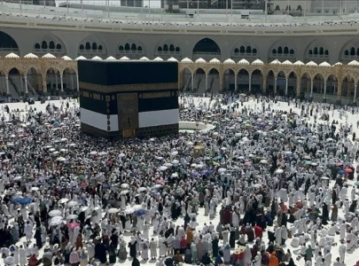 14 jordanian pilgrims dead 17 missing during hajj 14 jordanian pilgrims dead 17 missing during hajj