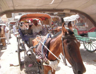 horse power forget getaway cars in sukkur the tonga makes a comeback
