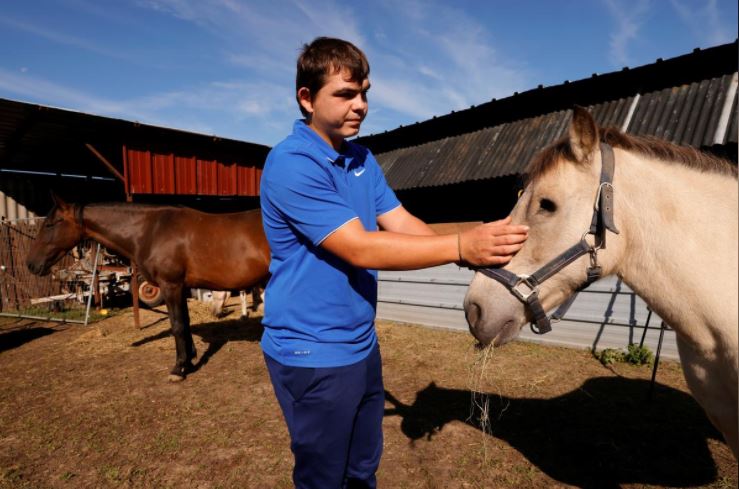 french farrier remy marechal shows the eye of his injured horse named noel at his farm in preux au bois france september 7 2020 photo reuters