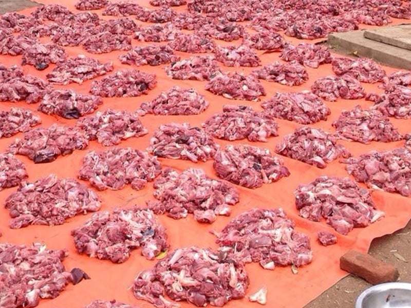 meat prepared for distribution in a communal sacrifice on eid ul adha in hunza photo online