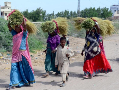 rural women on frontline of pandemic calamities rural women on frontline of pandemic calamities