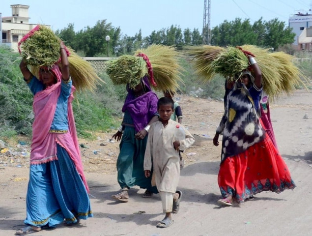 rural women on frontline of pandemic calamities rural women on frontline of pandemic calamities