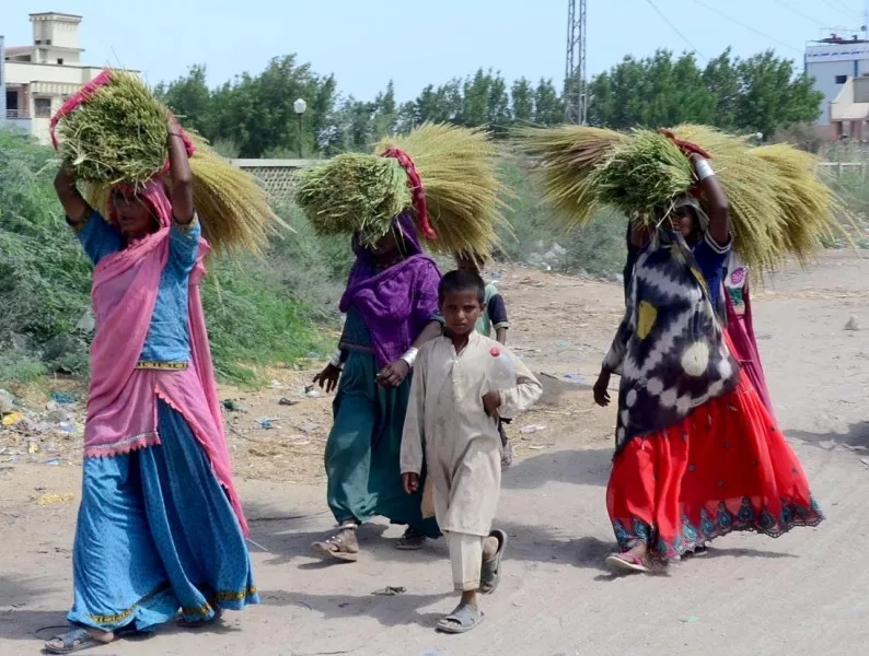 rural women on frontline of pandemic calamities rural women on frontline of pandemic calamities