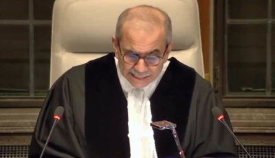 the panel of 14 permanent judges from countries around the world plus an extra ad hoc judge appointed by israel as a party to the case took their places inside the courtroom in the hague screengrab