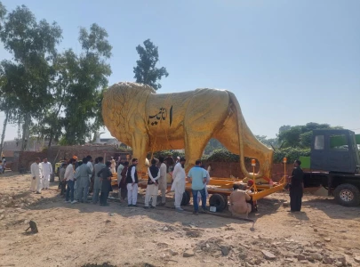 the toy story of electoral politics